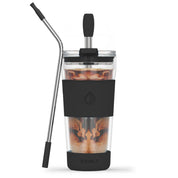 19 oz Double - Walled Glass Tumbler with Metal Straws - HEMLI