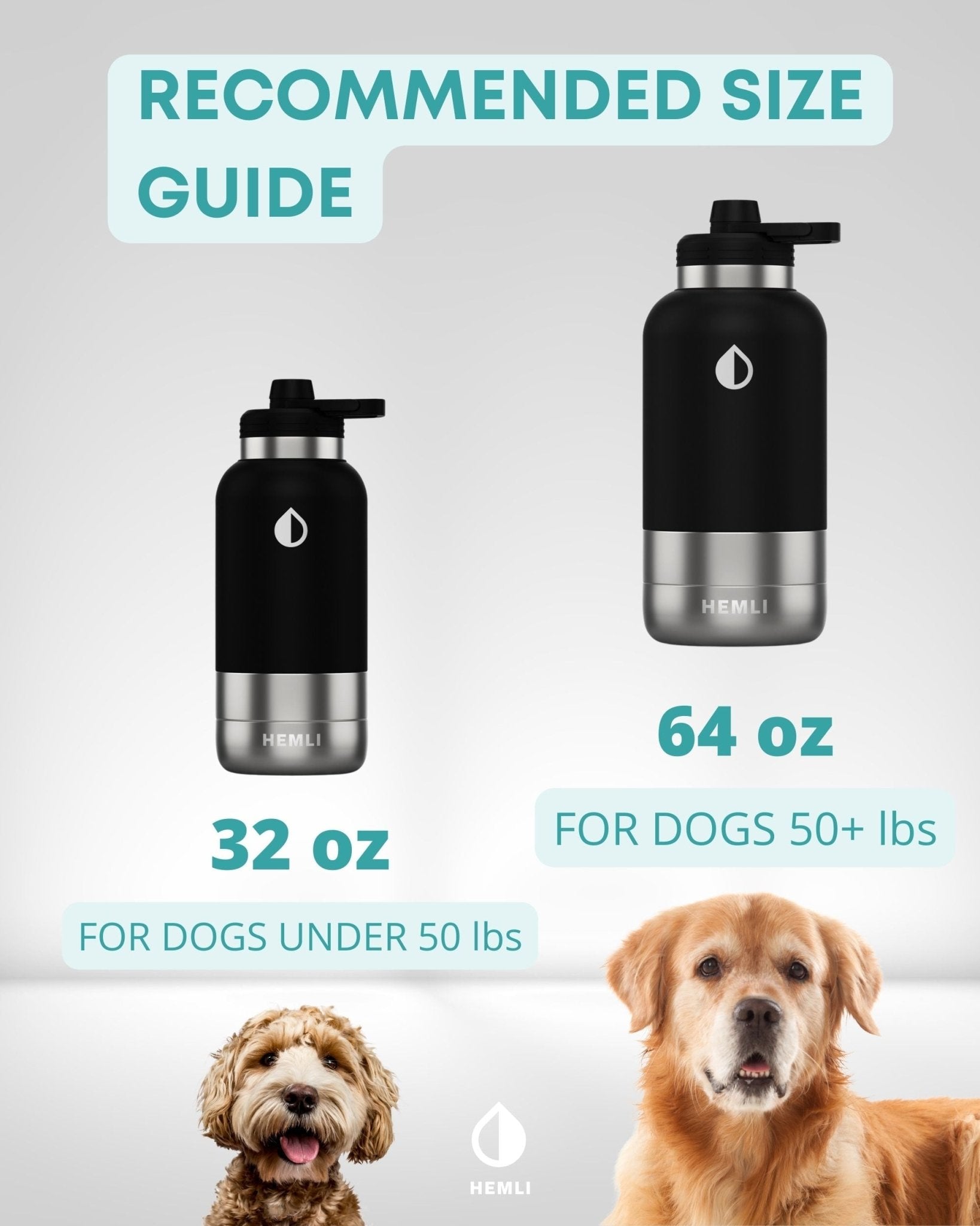 Dog Water Bottle with Detachable Water Bowl, Food Bowl & Carrying Case - HEMLI
