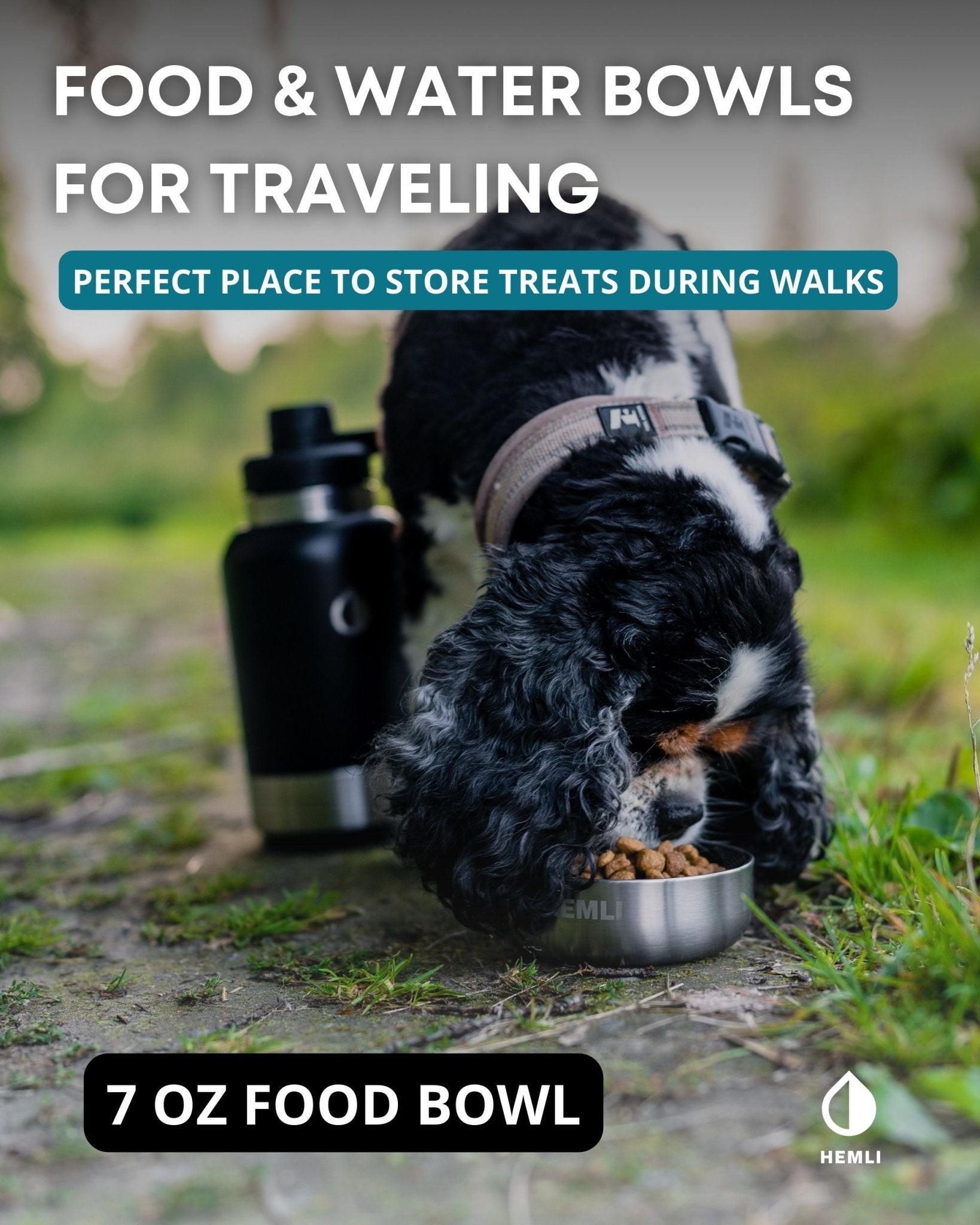 Dog Water Bottle with Detachable Water Bowl, Food Bowl & Carrying Case - HEMLI
